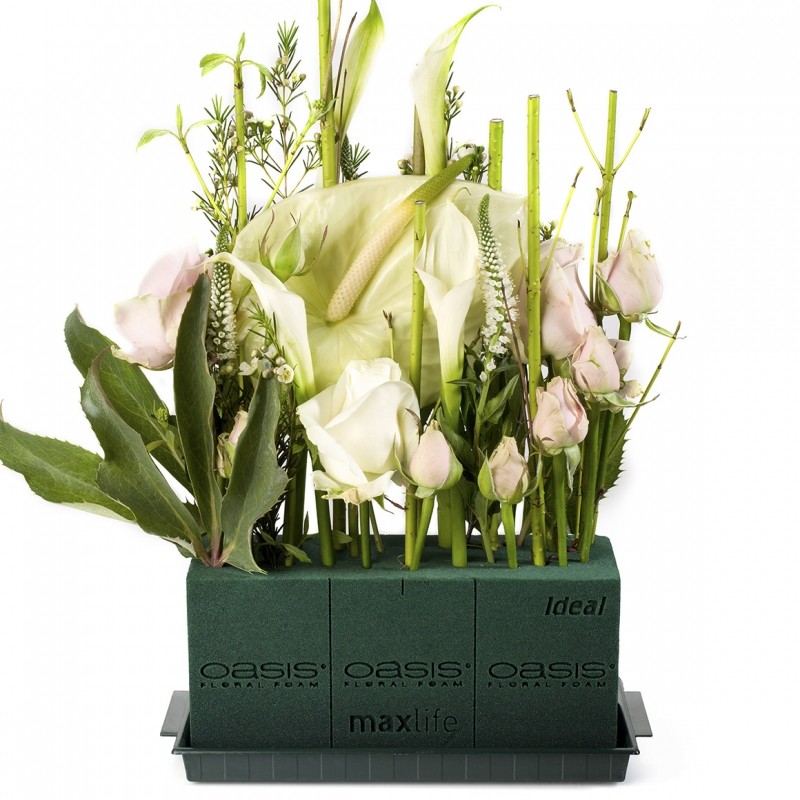 OASIS® IDEAL Mousse florale pour fleurs coupées - OASIS® Floral